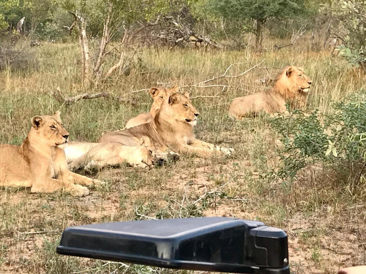 Sausage Tree Safari Camp Balule Game Reserve Exterior photo