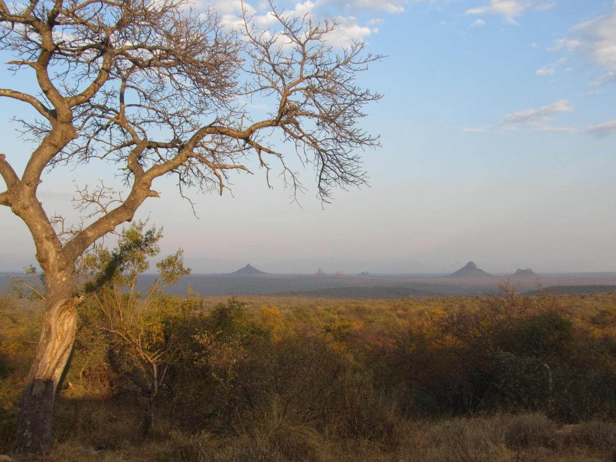 Sausage Tree Safari Camp Balule Game Reserve Exterior photo