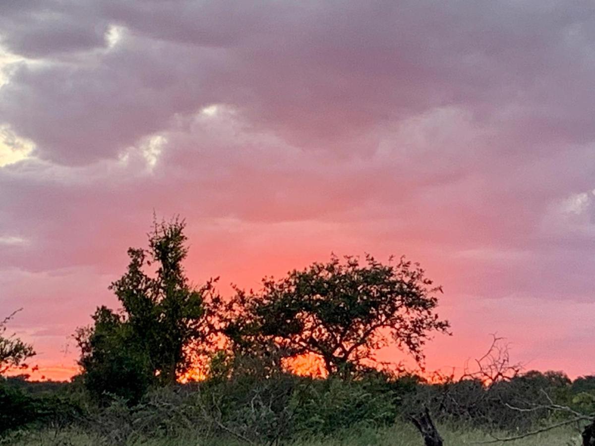 Sausage Tree Safari Camp Balule Game Reserve Exterior photo