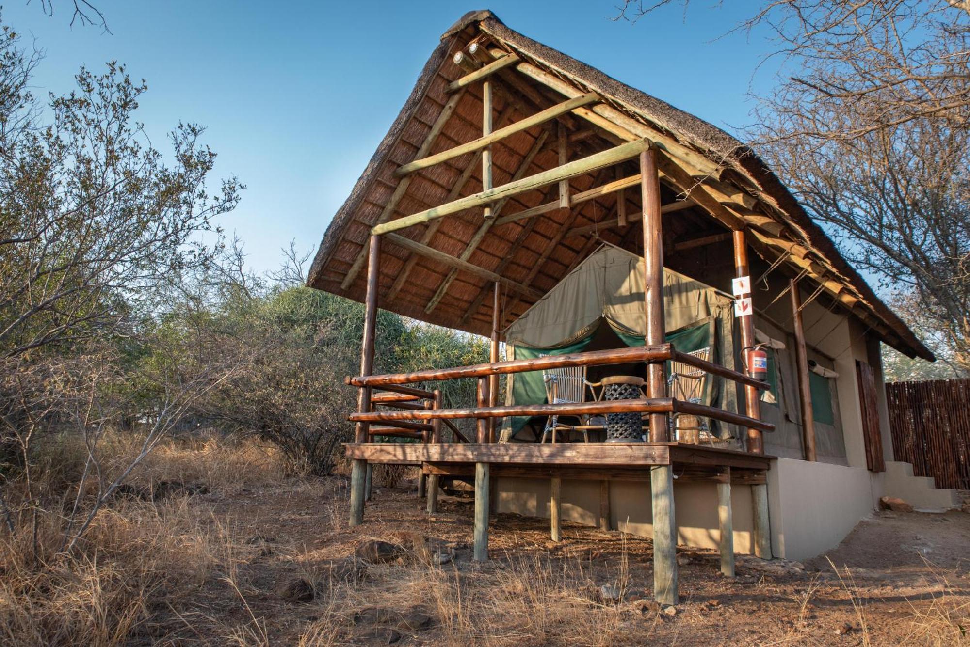 Sausage Tree Safari Camp Balule Game Reserve Exterior photo