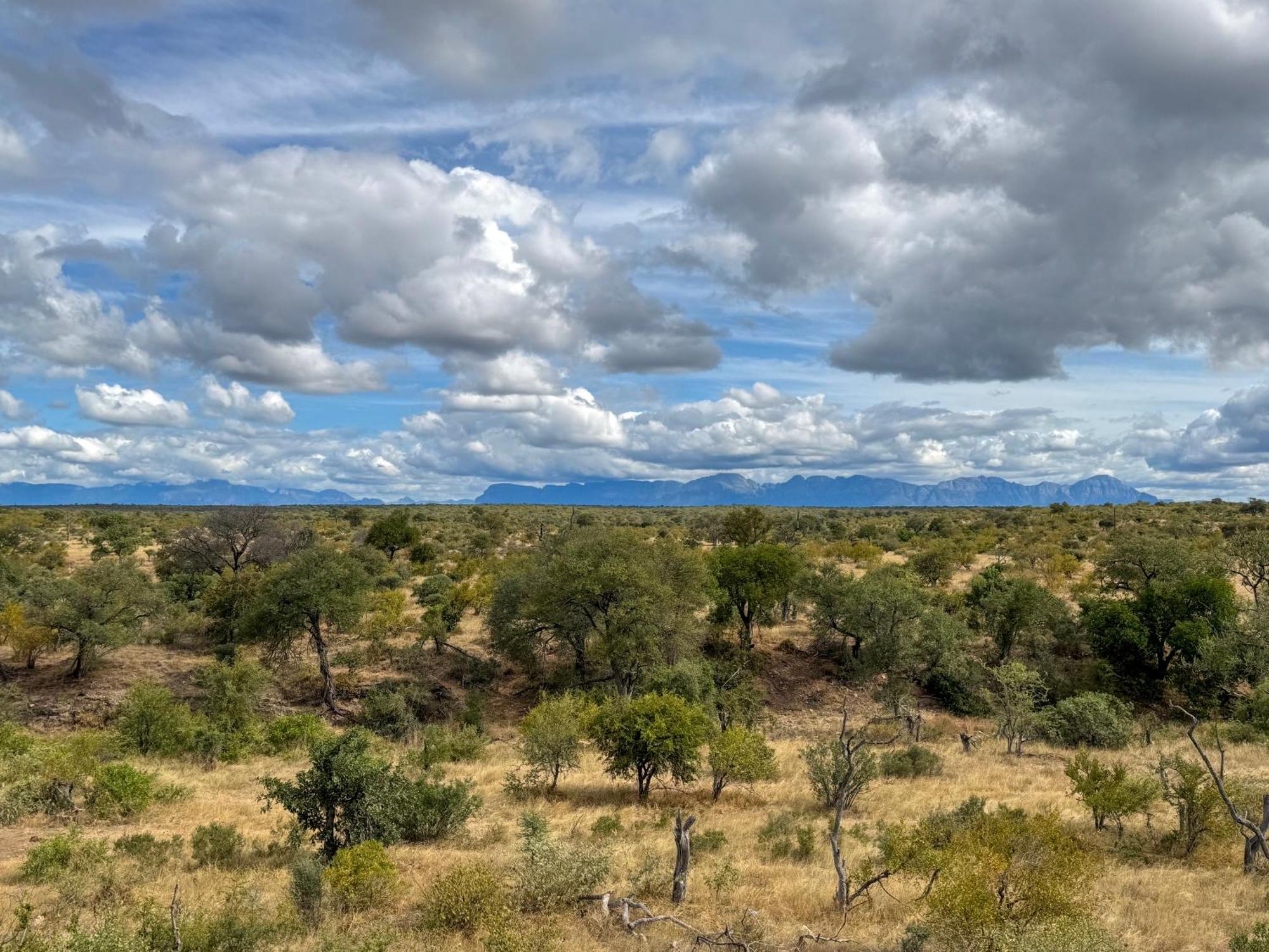 Sausage Tree Safari Camp Balule Game Reserve Exterior photo