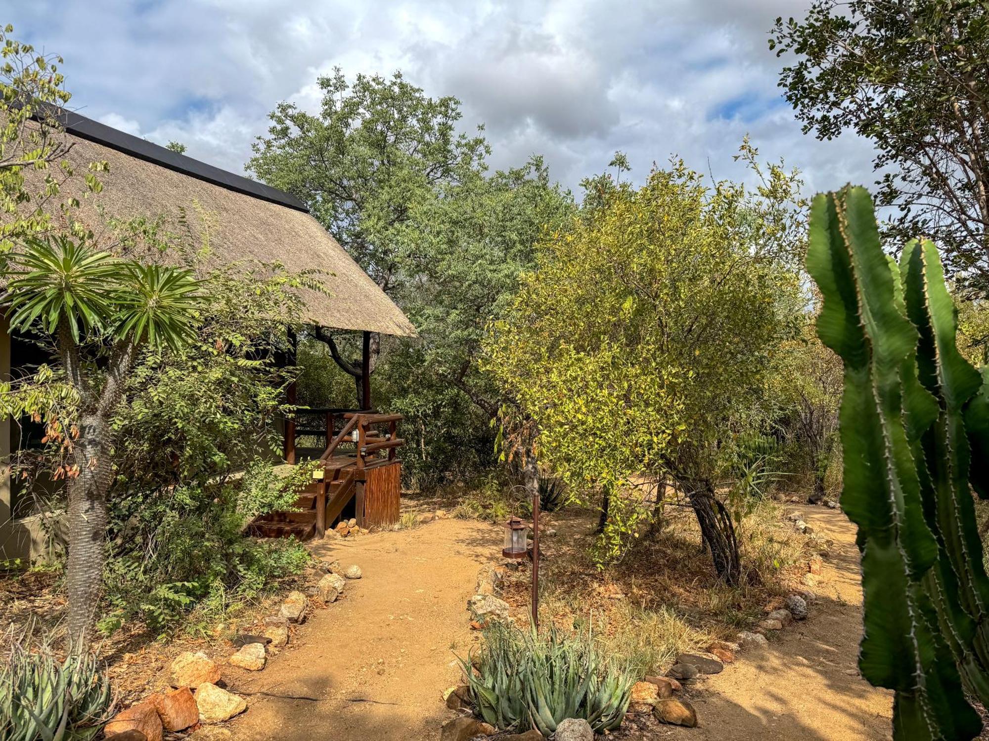 Sausage Tree Safari Camp Balule Game Reserve Exterior photo